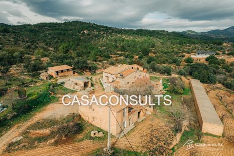 Herregård i Les Useras, Castellon, Les Useras - € 160 000 | Ref: 822 - foto 31